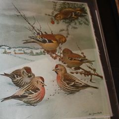 unframed silk picture