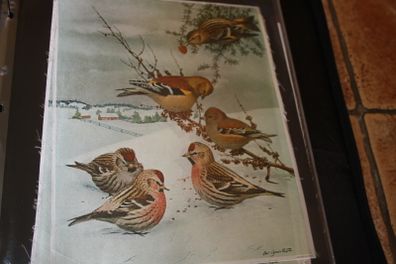 unframed silk picture
