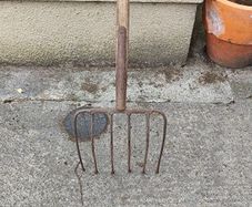 6 tine beet or turf fork