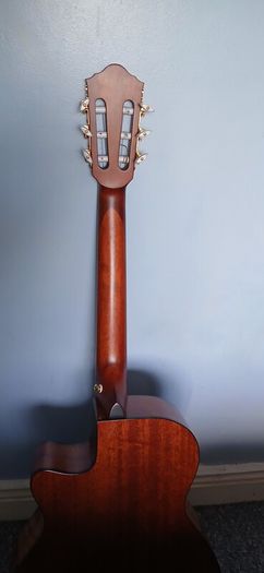 Ibanez AEG50N nylon acoustic