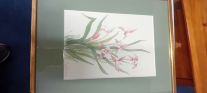 Una Gillespie Orchids Watercolour Painting