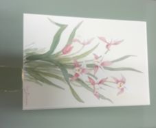 Una Gillespie Orchids Watercolour Painting