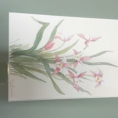 Una Gillespie Orchids Watercolour Painting