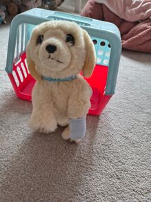 Little Live Pets Cooper the Retriever