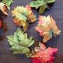 Autumn Garland & Leaf Decorations Image 5