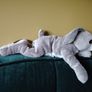 Rabbit - Soft Toy Image 4