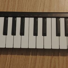 Akai Lpk25 Usb Midi Keyboard