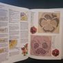 Heirloom Embroidery (Creative Crafts for Creative Hands. Hardcover Image 5