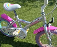 Apollo Twinkles Bike
