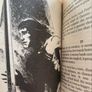 Fire Wolf: Sagas of the Demonspawn Book 1 (J.H. Brennan) Image 4