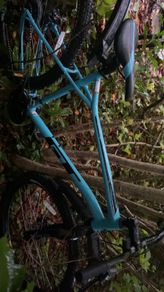 GT Aggressor