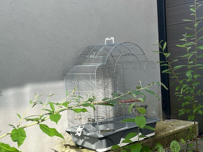 Large bird cage
