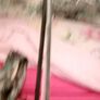 Camouflage fishing umbrella with sides Image 3