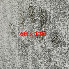 carpet 6ft x 13ft