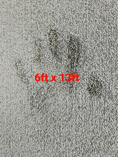 carpet 6ft x 13ft