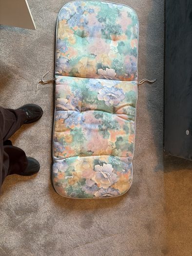 2 Garden Cushions Free , Dublin 4  Collection