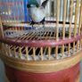 Vintage singing bird Image 4