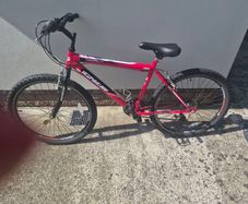 Mountain  bike
