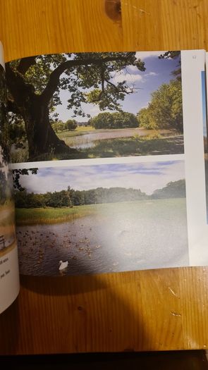 Emo Court. James Gandon's Classical Shoepiece In Laois. Home To Father Browne's Photographic Collection.. Large Paperback In Very Good Condition.