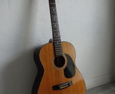 Guitar