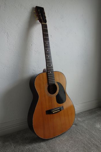 Guitar
