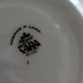 Aloe Vera in Tara fine China cup and saucer Image 3