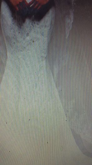 Long Cathedral Length Sequined Veil