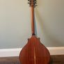 Irish Bouzouki Image 2