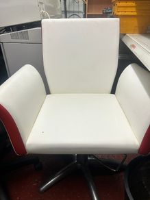 Professional Salon Chair