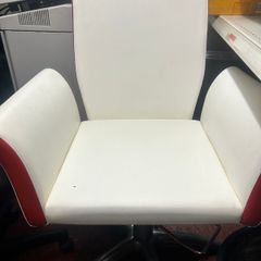 Professional Salon Chair