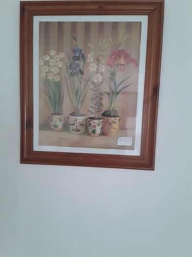 large picture