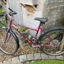 Bike Image 2