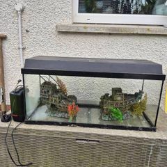large fish tank
