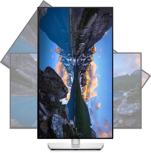 DELL U2422H UltraSharp 24" FHD (1920x1080) LCD IPS Pivot Monitor/ Used