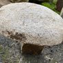 granite mushrooms Image 5