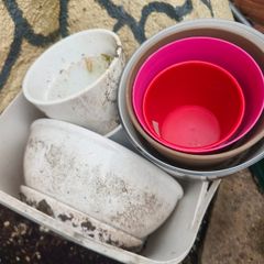 Plants pot