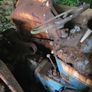 Ford 2000 Image 3