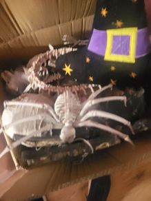 halloween decorations
