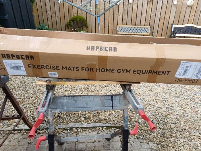 Large Hapbear Excercise Mat