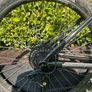Vitus 29r Hardtail Image 3