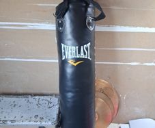 Everlast punching bag