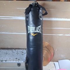 Everlast punching bag