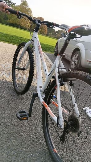 Raleigh Talus 1.0 Lds