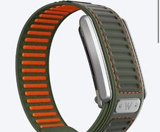 Whoop Premium Navigator Bands
