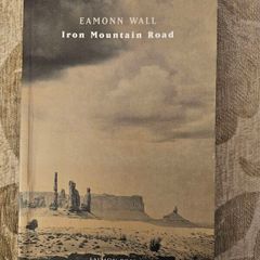 Iron Mountain Road. By Eamonn Wall. First Edition Paperback In Good Condition. See Photos For Same.