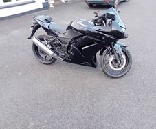 Kawasaki Ninja 2010