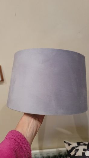 Free Lampshades x2