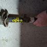 Lexus IS300h Front Shock Image 2