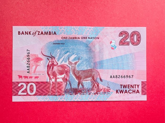 Zambia  20Kwacha. 2024  ( Uncirculated )