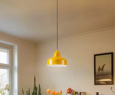Pair of Modern Over-island Pendant lights